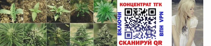 Дистиллят ТГК вейп с тгк  Купить где  Железноводск 